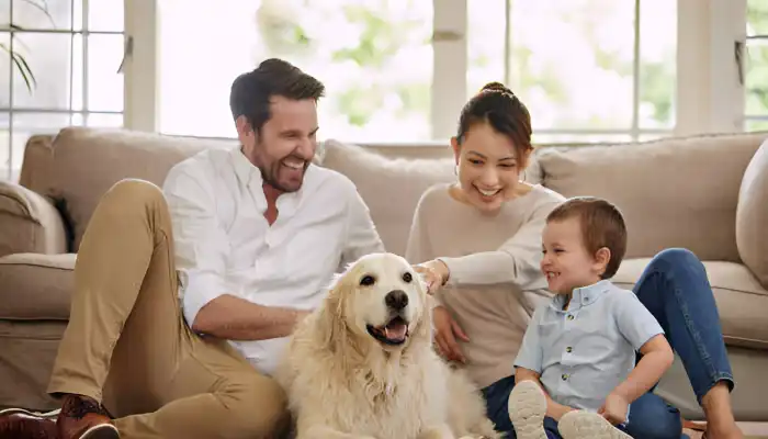 Decoding Dogs' Body Language Decoding Dogs' Body Language