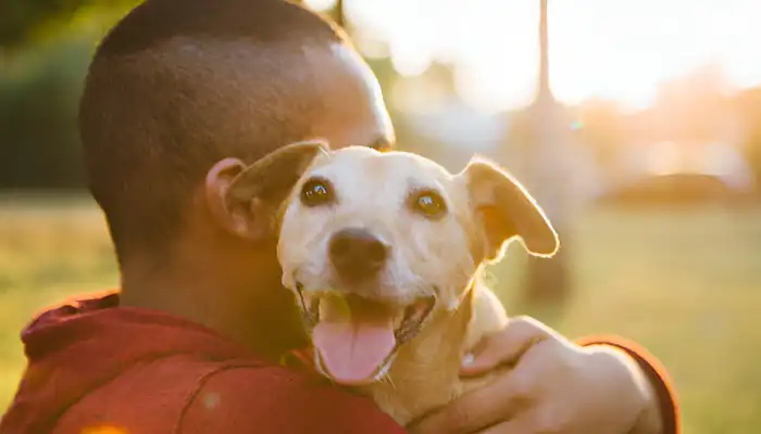 Top Dog Translator Apps of 2025 Top Dog Translator Apps of 2025